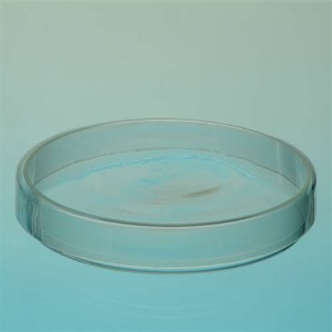Glass Petri Dishes - 60mm x 12mm