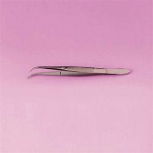 Curved Forceps - 125mm