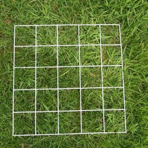 Quadrat 25 Squares