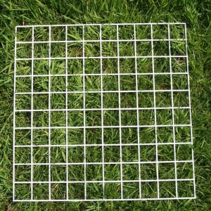 Quadrat 100 Squares