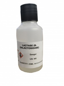 Lactase B-Galactosidase