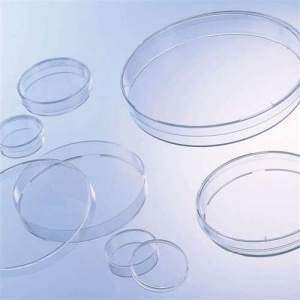 Disposable Petri Dishes 90 x 15mm - 480pk