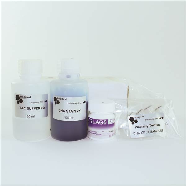 Paternity Testing DNA Kit School Science Equipment