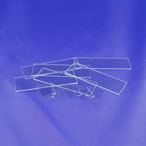 Microscope Slides Standard School Science Equipment brecklandscientific.co.uk