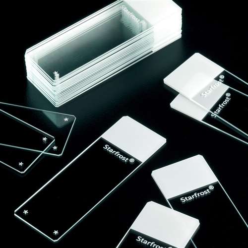 Microscope Slides Superior School Science Equipment