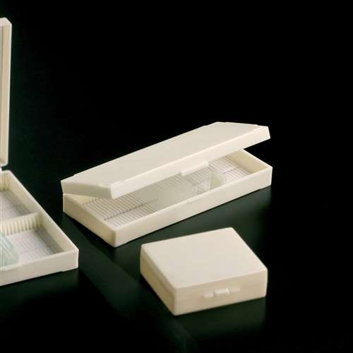 Microscope Slide Box 50 Slides School Science Equipment