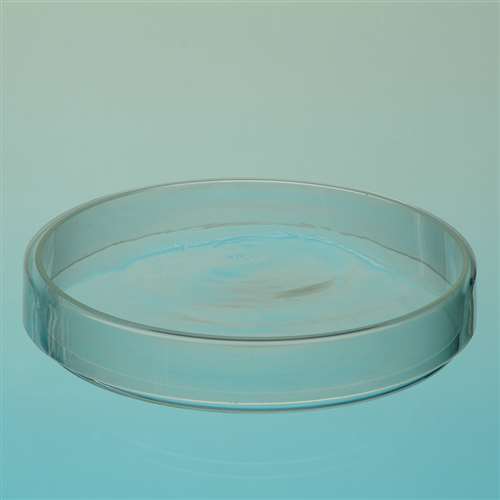 Glass Petri Dishes 900mm x 15mm School Science Equipment