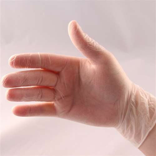 Vinyl Gloves Powder Free Medium School Science Equipment