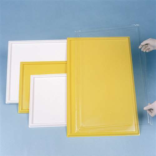 Spill Tray, Large - Disposable